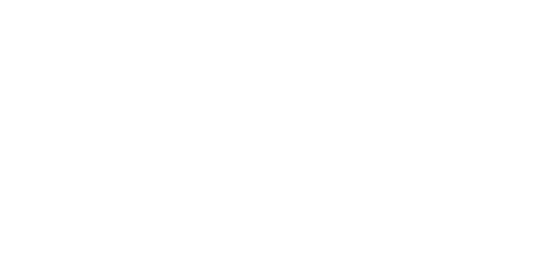 Emmelab_Carnevale_Di_Firenze_logo