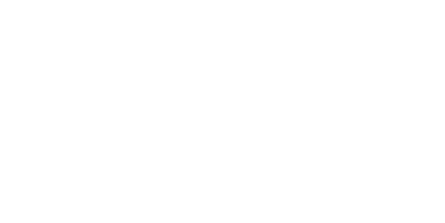 Emmelab_Fondazione_Carnevale_Di_Viareggio_logo