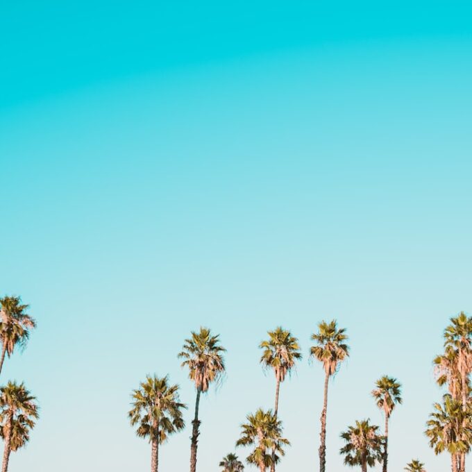 Photo AI Search