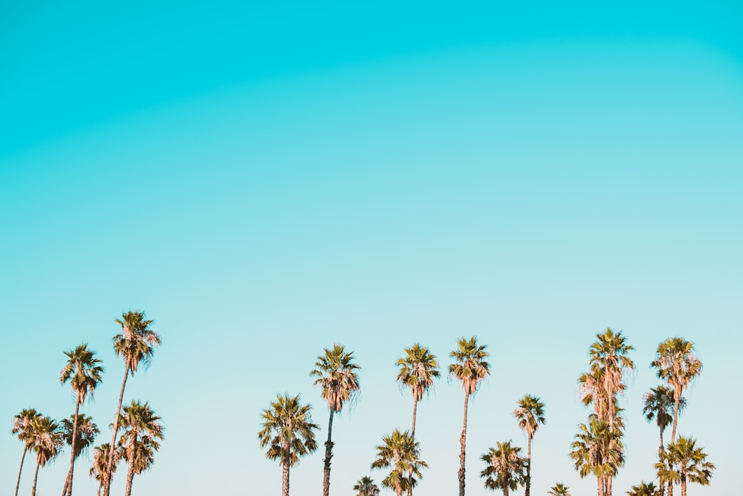 Photo AI Search